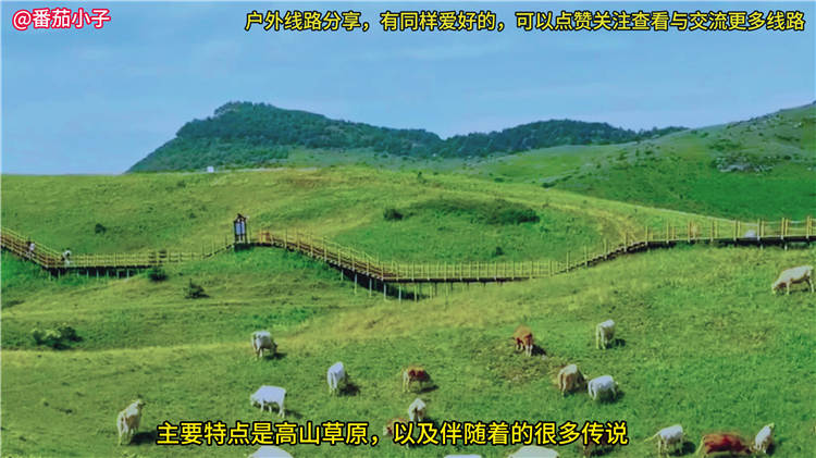 山西晋城杨柏大峡谷游玩攻略线路