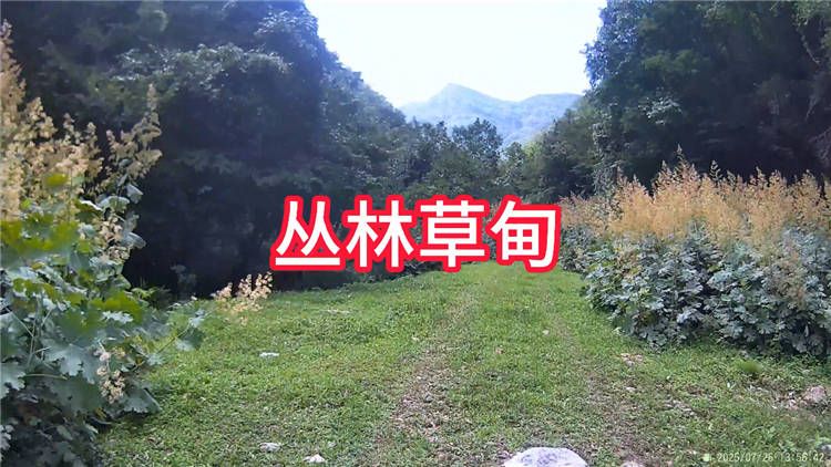 沁水涧河村完整游玩攻略线路图特色景点