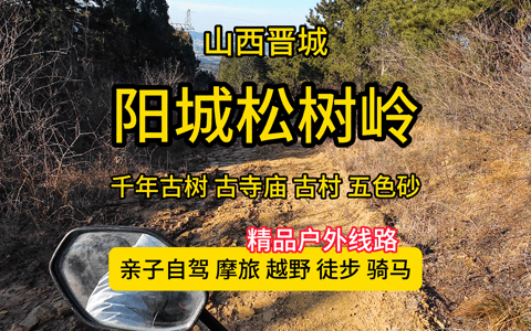 阳城松树岭-千年古树群/明清土楼/千年古庙奇观